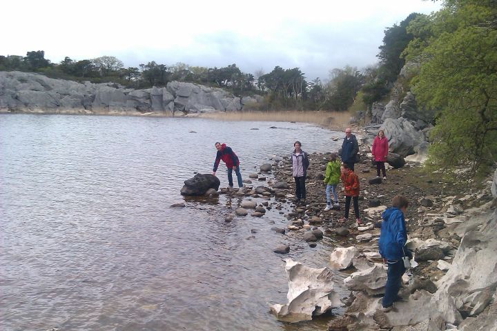 Guided Killarney National Park Walking Tour