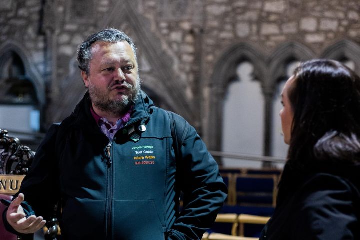 Private Walking Tour of Limerick