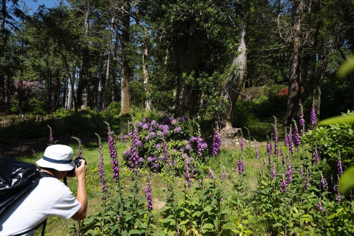 4 Hr Private Photography Tour from Kenmare – All Skill Levels