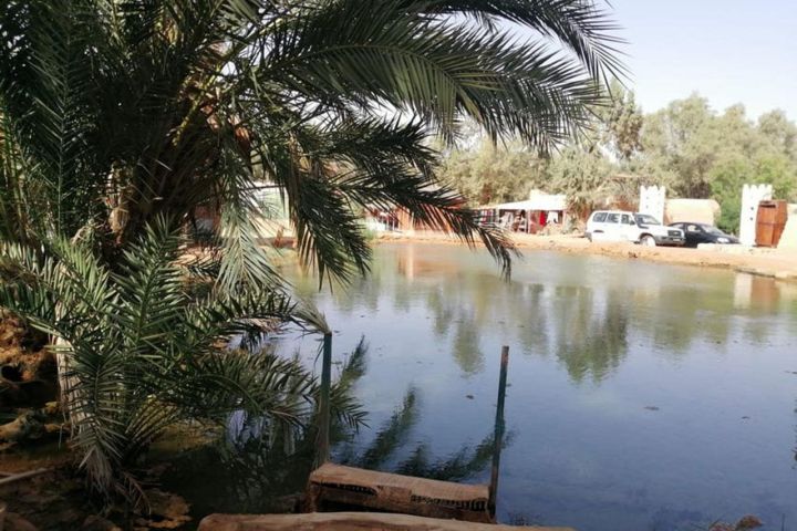 Day Trip to the Tunisian Desert: Ksar Ghilane and Tataouine