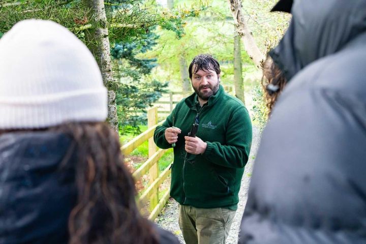 Northern Ireland Foraging & Bushcraft Experience