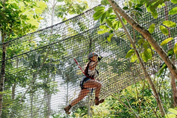 Tamborine Mountain TreeTop Challenge