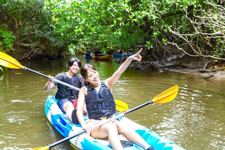 Mangrove SUP or Canoe & Caving & Experience on Coral Island image