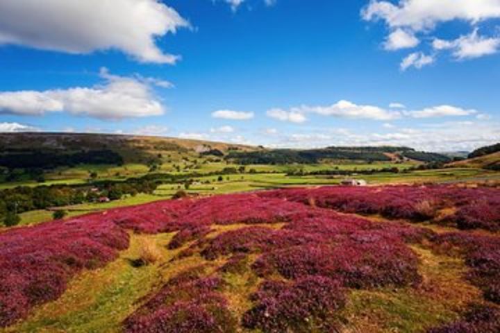 Private Tour - Yorkshire Dales Day Trip from Leeds image