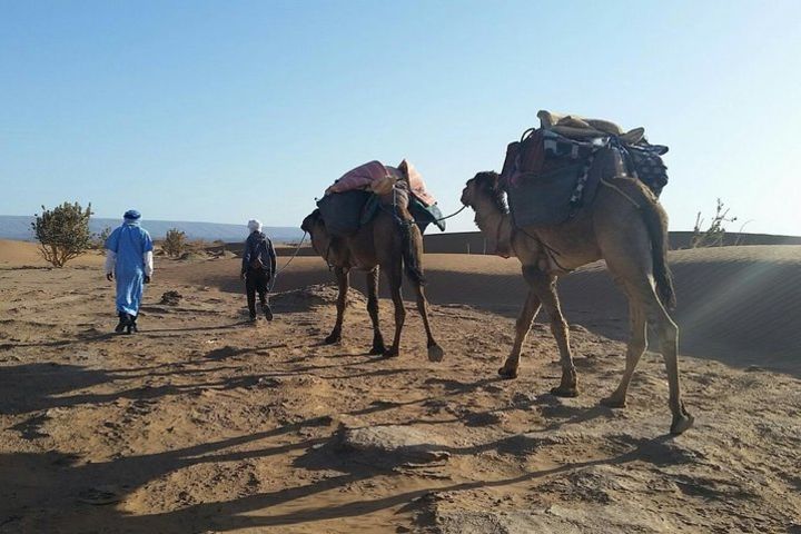 Circuit 2 day one night in the zagora desert image