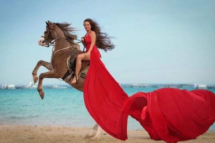 Sea & Desert Horseback Ride in Hurghada image