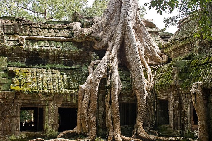 Angkor Wat Sunrise Tour image