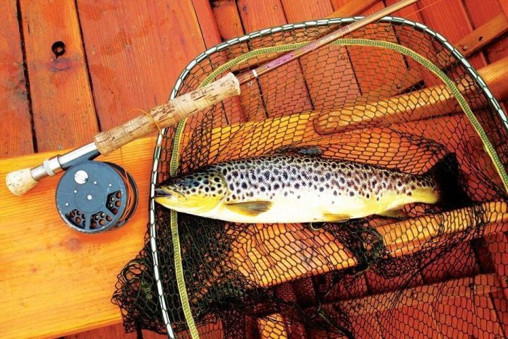 Lough Corrib Brown Trout Fly Fishing image