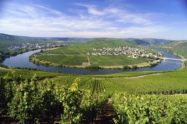 Grape Escape Mosel - Personal wine tour image