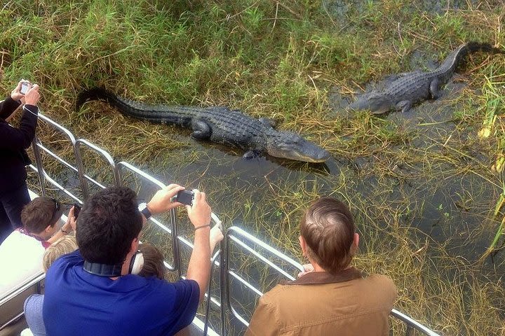 Central Florida Everglades Airboat Tour from Orlando image