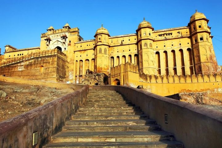 Taj and Tigers image