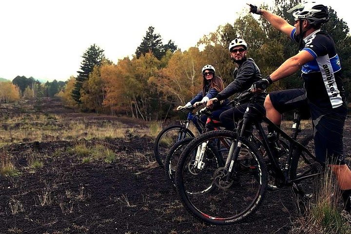 Etna in MTB Half day small group image