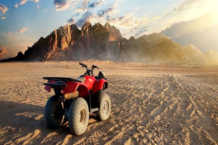 Sunset Quad Tour from Hurghada image