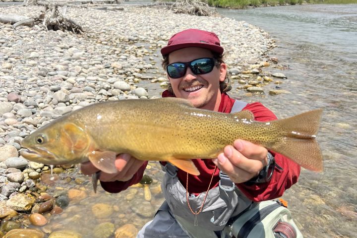 2-Hr Intro to Fly Fishing Tour in Jackson Hole image