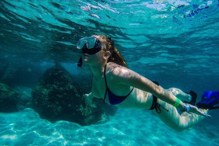 Full-Day Snorkeling at Marietas Islands with Lunch image