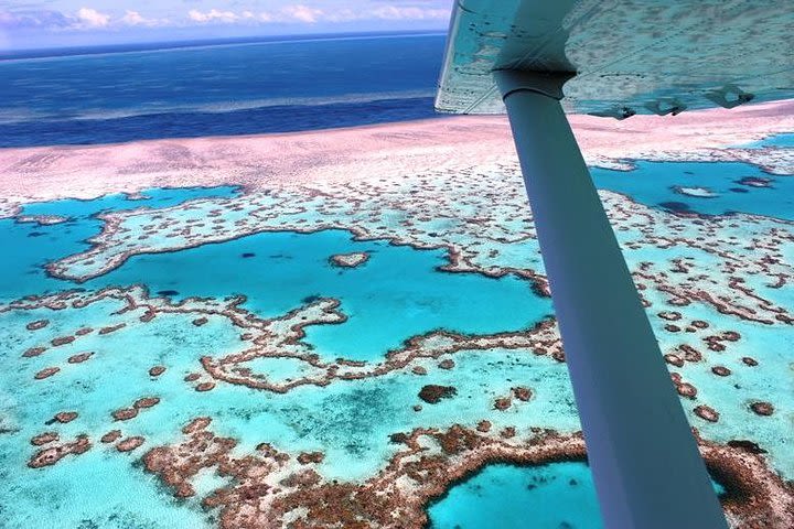 8-Day Cairns Tour: Great Barrier Reef, Kuranda, Daintree Rainforest image