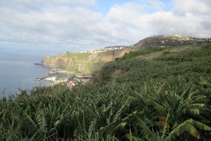 Rota do Açucar - Levada Nova (Half Day Walk) image