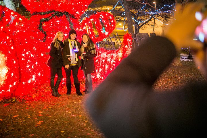 Christmas Past, Present and Future Light Tour in Milwaukee image