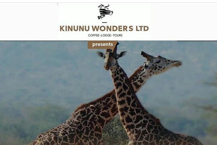 Kinunu Wonders Tourism Packages image