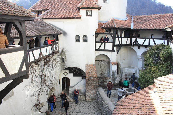 Dracula Castle & Peles Castle One Day Trip from Bucharest image