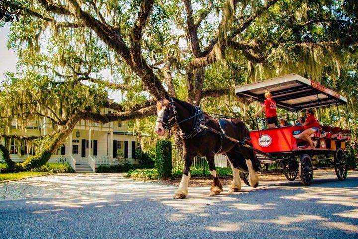 Beaufort’s #1 Horse & Carriage History Tour image