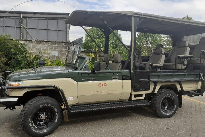 Half-Day Private Tour in Open Jeep at Nairobi Park  image