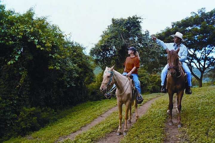 Horseback Ridingin in Hopkins image