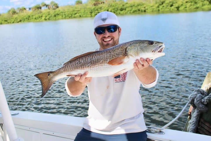 Private Full Day In-Shore Fishing Charters: Tampa Bay image