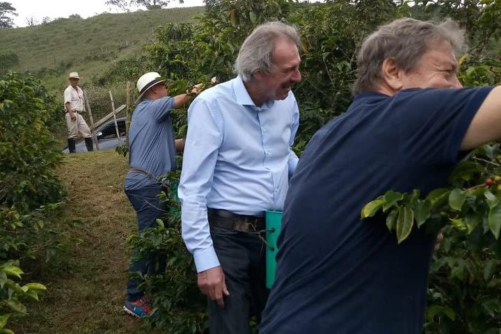 Private Coffee Tour in Colombia image