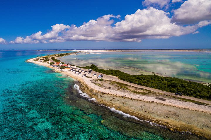 Best of Bonaire image