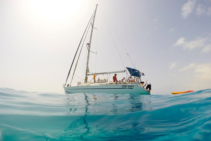 Sailing tour around the Lobos Island Natural Park / 4h image