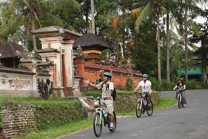 True Bali Experience - Carangsari Village Cycling image