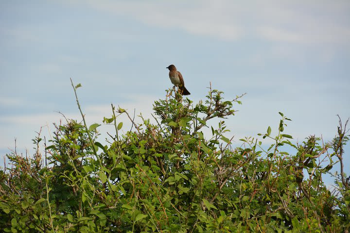 lake mburo national park image