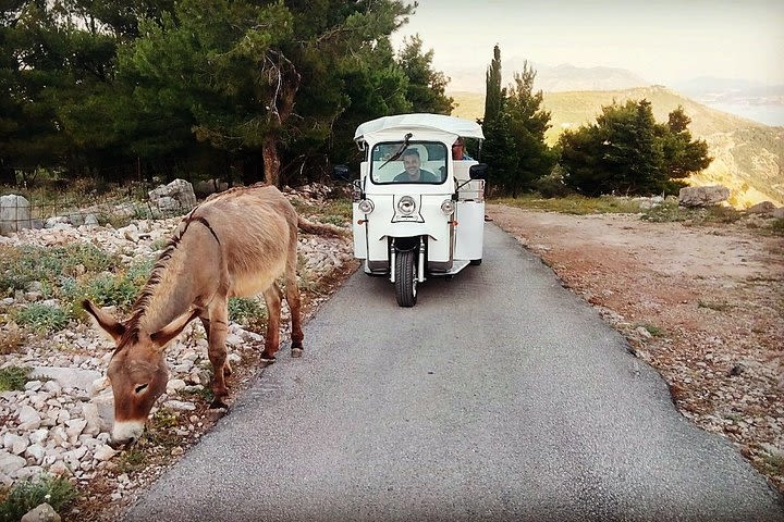 E-Tuk Tuk Tour in Dubrovnik image