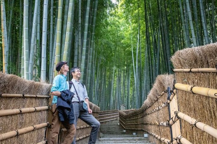 City Escape: Arashiyama Park Private Day Trip image