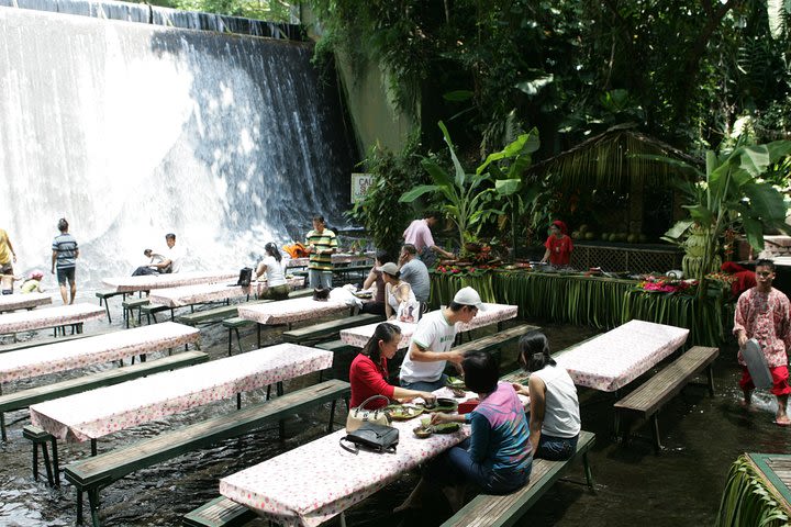 Private Shore Excursion of Villa Escudero with Lunch image