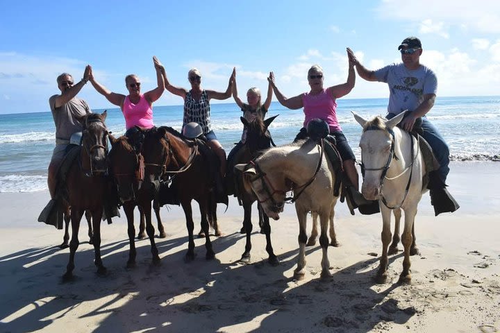 Horseback Riding Tour Adventure on the Beach image