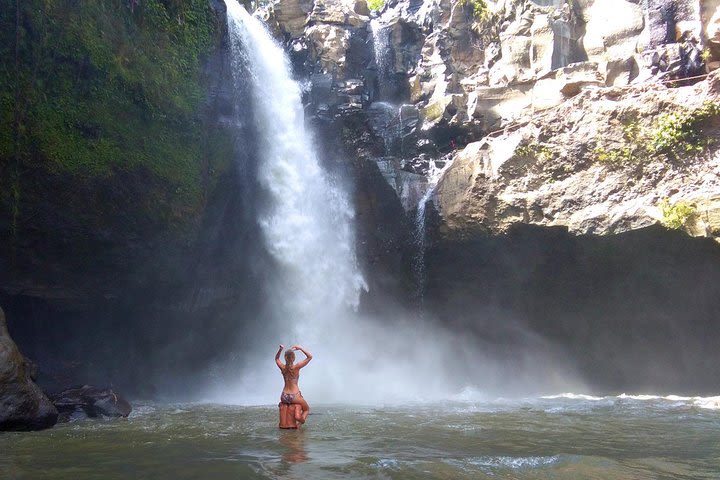 Amazing Half-Day Tour : Ubud Waterfall Trip image