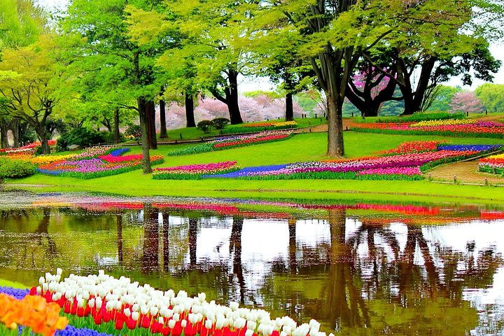 Day Trip To Tulip Gardens Of Keukenhof From Amsterdam: Private & Personalized image