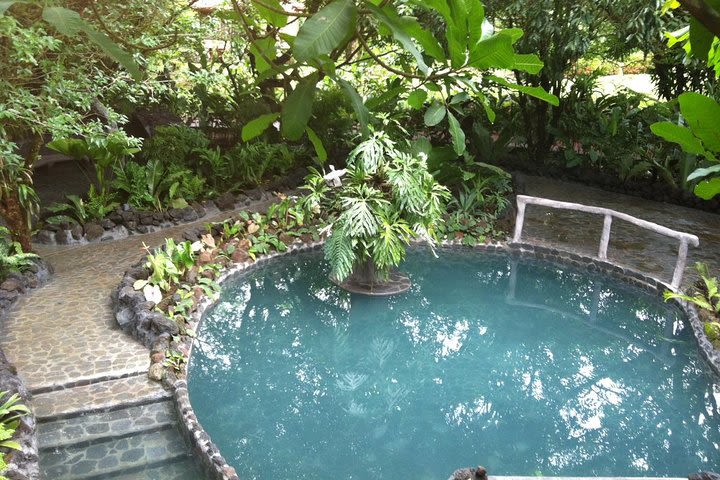 Arenal Volcano Horseback Riding Hot springs included image