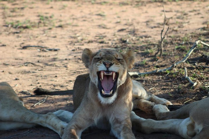 5 Day Greater Kruger National Park Adventure Safari image