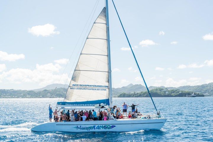 St Lucia Full-Day Catamaran Sightseeing Cruise With Snorkeling image