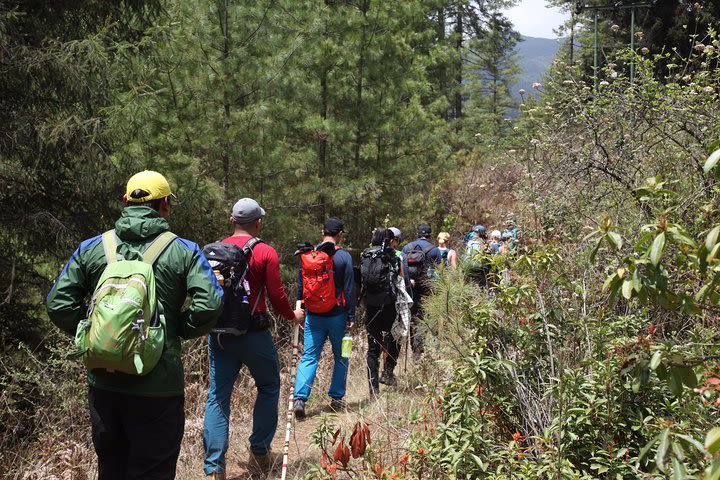 A Culture & Nature Tour of the Hidden Kingdom of Bhutan image