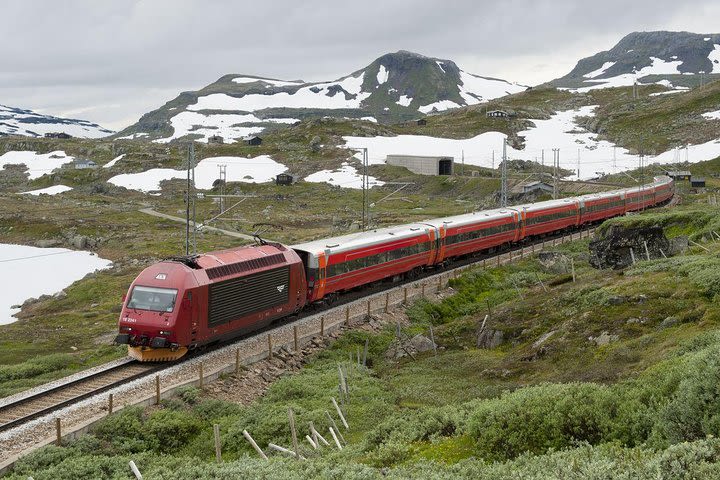 Guided day tour to Flåm - incl Sognefjord Express Cruise and Flåm Railway image