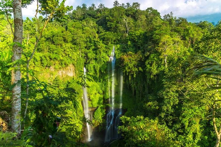 Small-Group Sekumpul Waterfall Jungle Trek with Lunch image