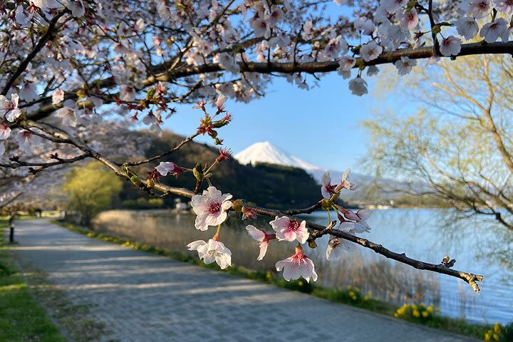 Mt Fuji incredible vistas bike tour with traditional village and waterfall visit image