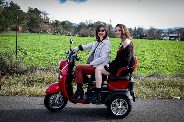 5 hr Guided Wine Country Tour in Sonoma on an Electric Trike image