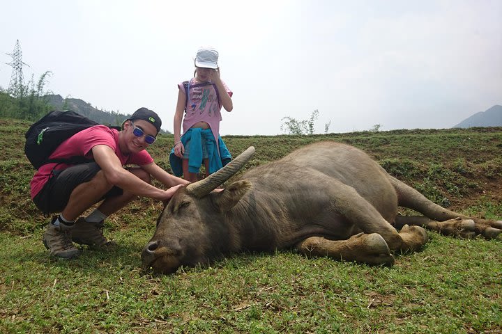 Sapa Trekking Tour - 1 day image