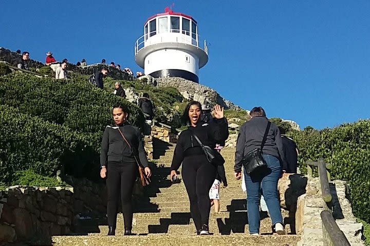 Cape Point Full Day Tour With Wine Tasting image