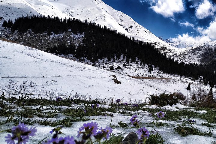 Kol Tor lake image